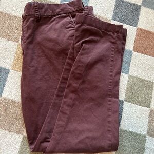 Tommy Hilfiger Men's Chinos in Deep Brown